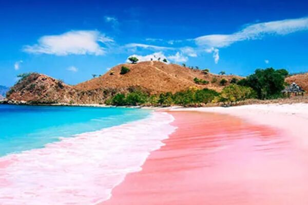 pink beach