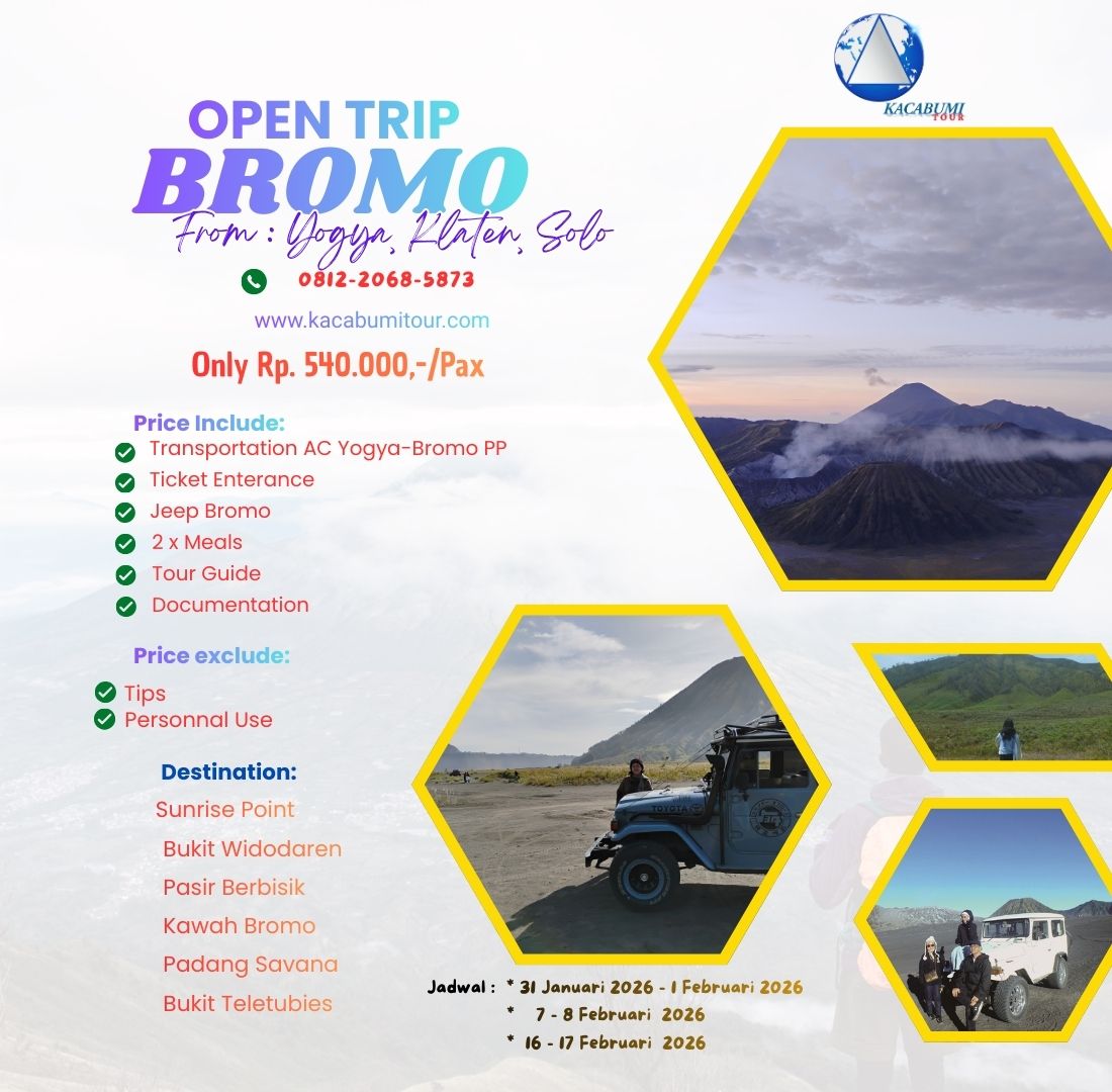 OpeN Trip (1100 x 1080 piksel)
