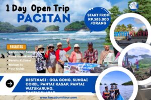 Pacitan Web2