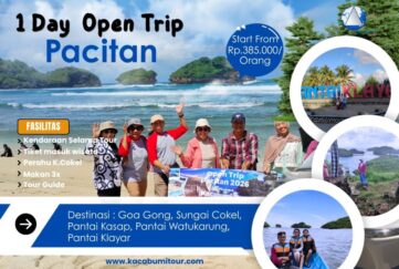 Pacitan Web2